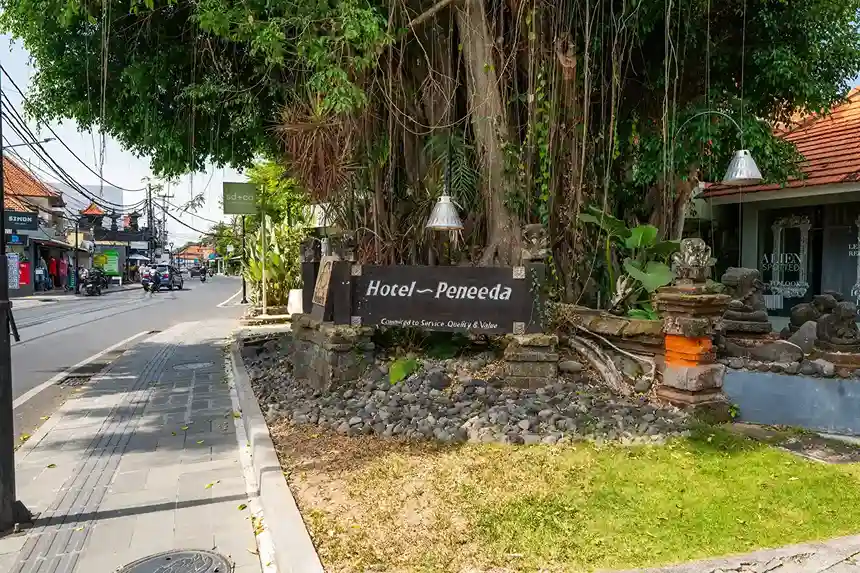 Peneeda View Gallery